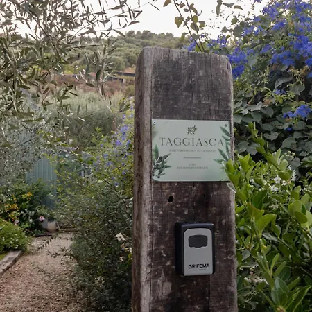 Taggiasca- Nel Con Piscina E Terrazza Privata * Arma di Taggia