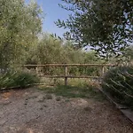 Taggiasca- Nel Con Terrazza Privata Semesterbostad *
