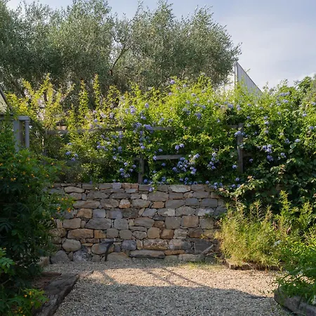 Taggiasca- Nel Con Piscina E Terrazza Privata *