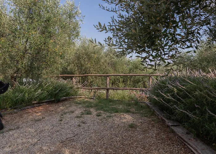 Taggiasca- Nel Con Piscina E Terrazza Privata Dom wakacyjny *