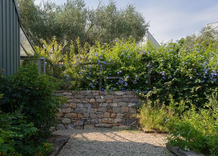 Taggiasca- Nel Con Piscina E Terrazza Privata *