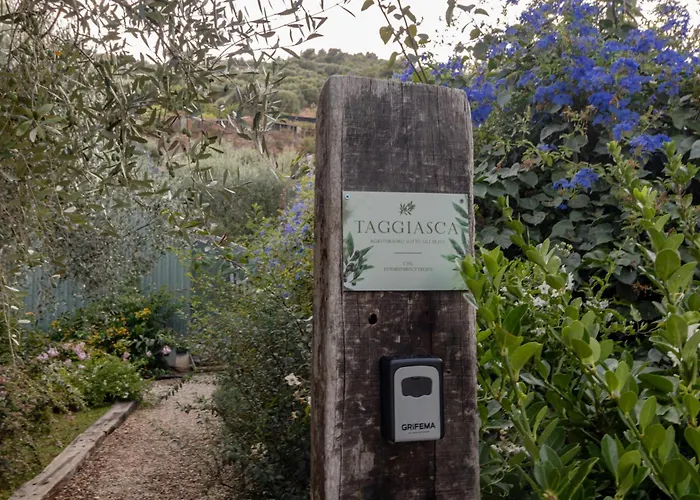 Taggiasca- Nel Con Piscina E Terrazza Privata * Arma di Taggia